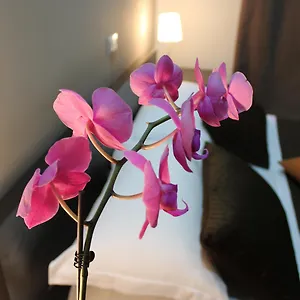 https://innvatican-guest-house.it-romehotels.com